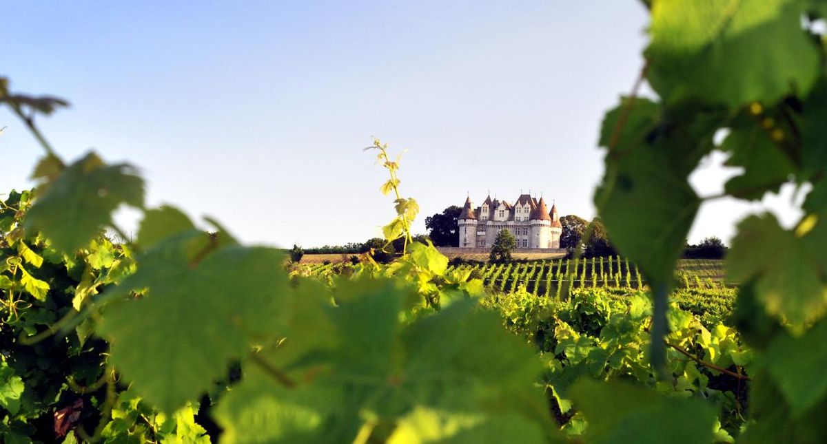 Vins & châteaux